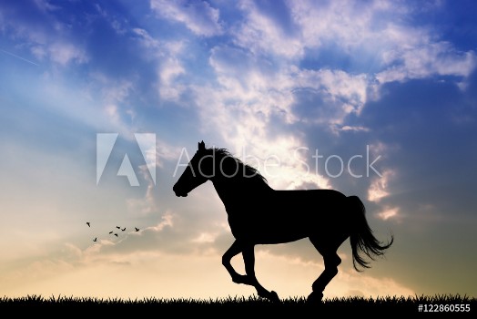 Picture of horse gallop at sunset